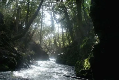 RÃ­o Palacios. Tierra del Fuego. Argentina