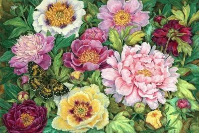 flores