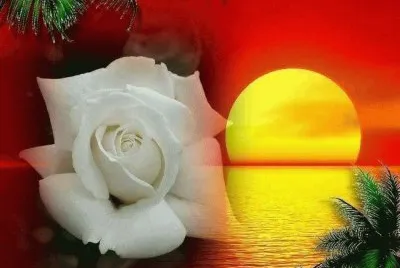 sol