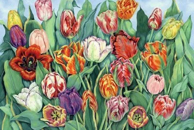 flores