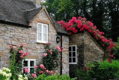 NÂº 928 jigsaw puzzle