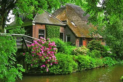 Casa na floresta jigsaw puzzle