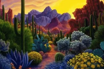 Desert in Arizona
