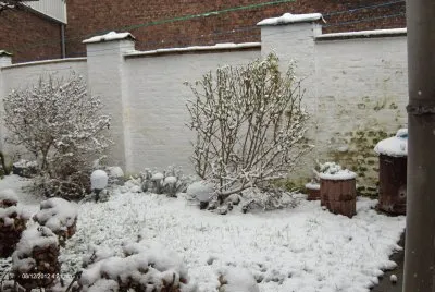 Hiver au jardin (Verviers-Belgium)