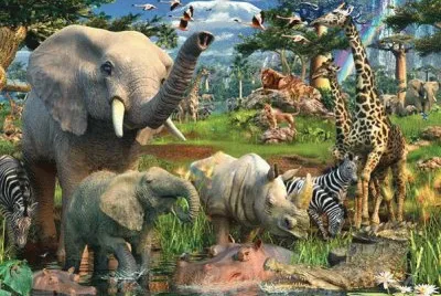 selva