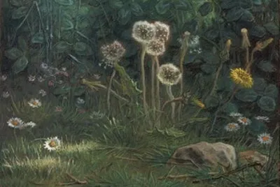 50