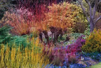Botanic Gardens Cambridge England