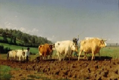 137