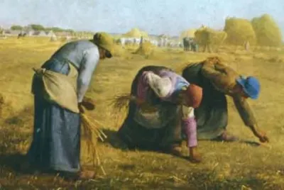 141