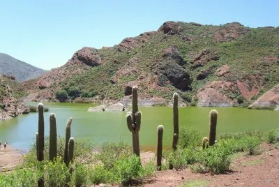 Laguna del Brealito. 2550 msnm. Salta. Argentina