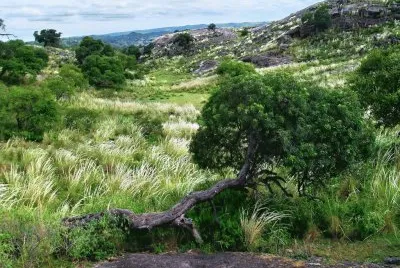 Anquincila. Catamarca. Argentina