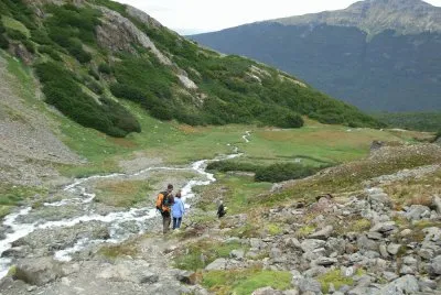 En Tierra del Fuego. Argentina jigsaw puzzle