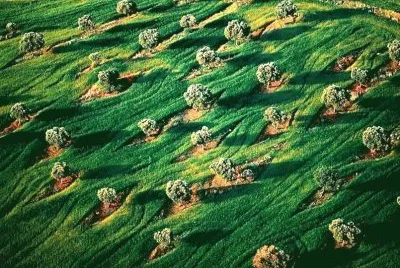 summer-83 jigsaw puzzle