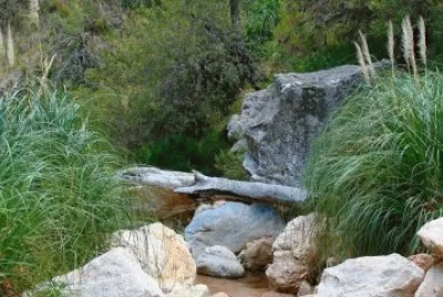 En Villa Larca. San Luis. Argentina jigsaw puzzle