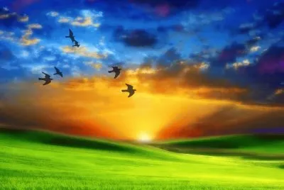 atardecer