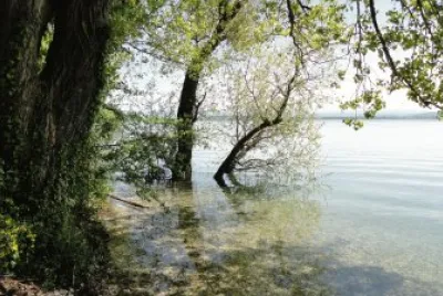 inondation