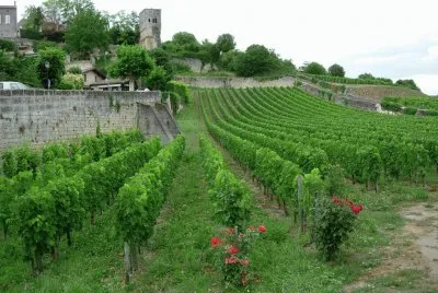Saint-Ã‰milion. Francia