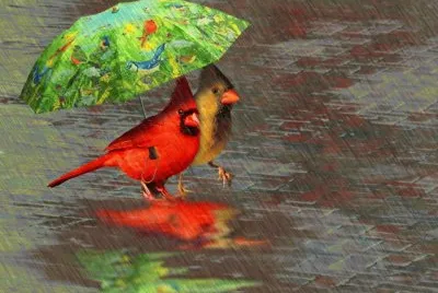  jigsaw puzzle