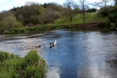 River Lagan
