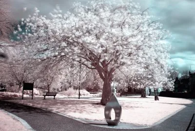 Tree of Souls jigsaw puzzle
