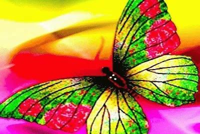 Disco Butterfly