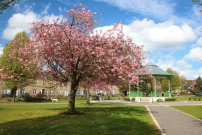 Spring Blossom Scotland jigsaw puzzle