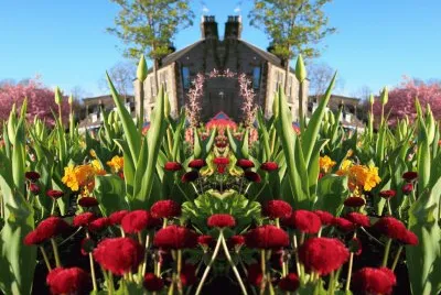 Spring flowers jigsaw puzzle