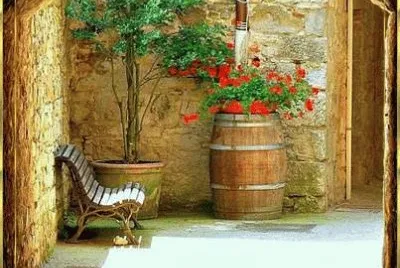 Natureza jigsaw puzzle