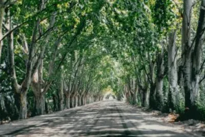 En San Rafael. Mendoza. Argentina