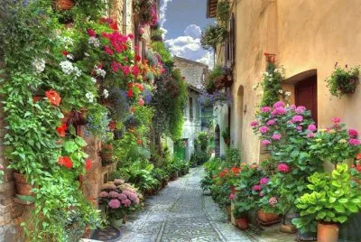 casa