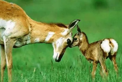mom#173