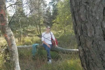 Hautes-Fagnes (Malchamps-East Belgium)