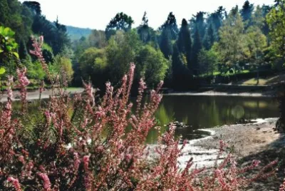 Comarca de Pontevedra. Galicia. EspaÃ±a