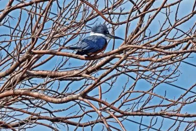 En los Esteros del IberÃ¡. Corrientes. Argentina