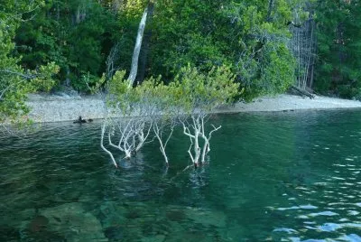Lago EpuyÃ©n. Chubut. Argentina