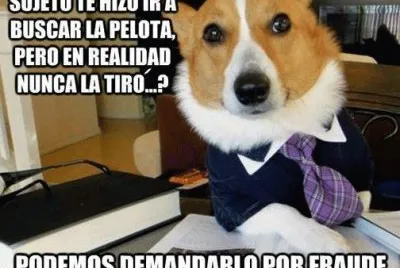 perro defensor