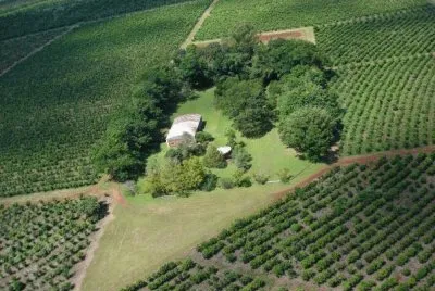 En la Provincia de Misiones. Argentina