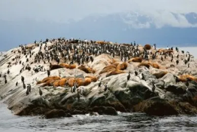 Cerca de Ushuaia. Tierra del Fuego. Argentina