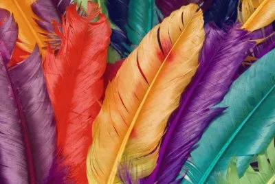 Jewel Tone Feathers