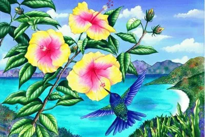 Flowers and Hummingbirds