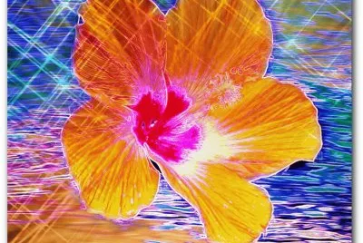 Aloha Flower