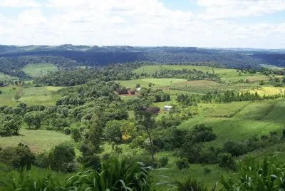 En el camino a MoconÃ¡. Misiones. Argentina