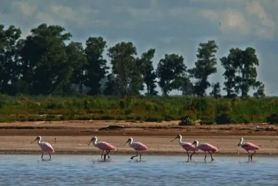 Mar Chiquita. CÃ³rdoba. Argentina