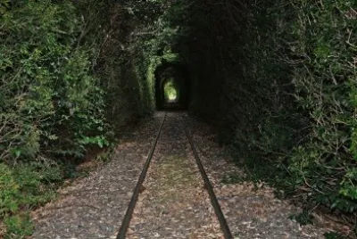 TÃºnel vegetal en Andonaegui. Buenos Aires. Argentina