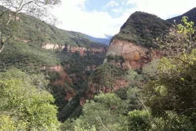 פאזל של PN Calilegua. Jujuy. Argentina