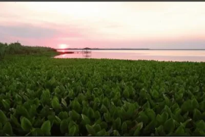 PN RÃ­o Pilcomayo. Formosa. Argentina
