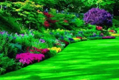 jardim