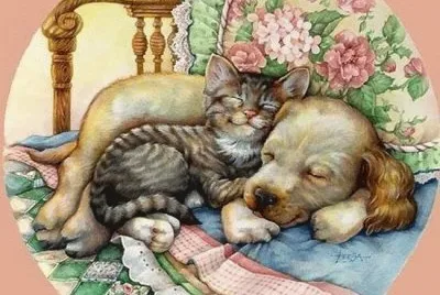soninho jigsaw puzzle