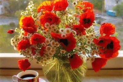 Amapolas mias mis amores jigsaw puzzle