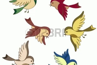 PAJAROS